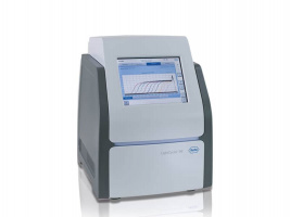real time polymerase chain reaction